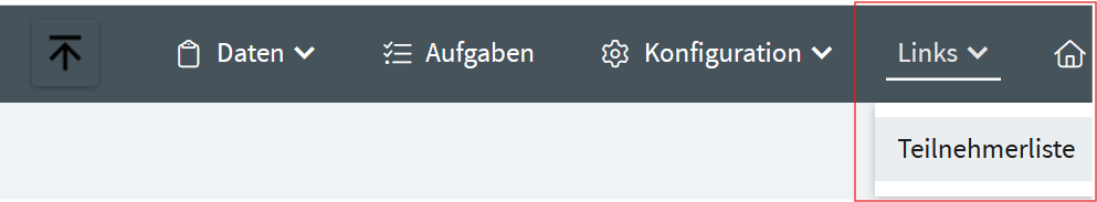 Link als Menüpunkt in der Detailmaske